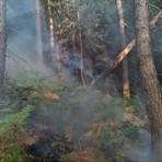 Incendio Monte Barone, Coggiola: "Non avvicinatevi per curiosità". Controlli e sanzioni Incendio Monte Barone, Coggiola: "Non avvicinatevi per curiosità". Controlli e sanzioni