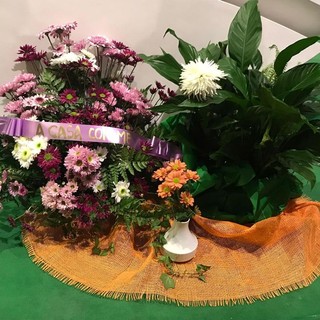 Biella, sette anni dal blitz al tempio crematorio: la commemorazione sabato 25 ottobre Biella, sette anni dal blitz al tempio crematorio: la commemorazione sabato 25 ottobre