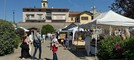 Alchimia di Beltane incanta Cerrione, la piazza di Vergnasco gremita tra musica e mercatini (foto di Davide Finatti per newsbiella.it)