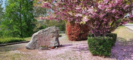 Muzzano celebra il 25 Aprile: in programma le commemorazioni per l’81° anniversario della Liberazione