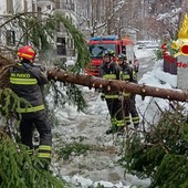 Maltempo in Valsesia, proseguono gli interventi dei Vigili del Fuoco: operazioni tra Cellio con Breia, Scopello, Varallo e Roasio