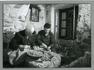 Mezzana, sgusciatura delle noci, FOTO Copyright Roberto Marchisotti