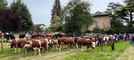Fiera Primaverile di Maggio a Graglia: tre giorni di tradizioni, allevatori e festa per le famiglie (foto di Massimo Giacobbe per newsbiella.it)