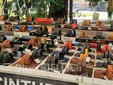A Biella la fiera dei sapori e dei colori con Regioni d’Europa FOTO e VIDEO Mattia Baù per newsbiella.it