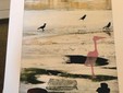 A Biella la mostra  "MESSINSCENA" di Roberto Gianinetti e Chiara Mazzeri FOTO Paolo Rosazza Pela