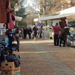 Spostamento del mercato a Biella, Olivero: "Sì al confronto, dopo la scelta di una delle quattro opzioni"