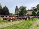 Fiera Primaverile di Maggio a Graglia: tre giorni di tradizioni, allevatori e festa per le famiglie (foto di Massimo Giacobbe per newsbiella.it)