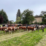 Fiera Primaverile di Maggio a Graglia: tre giorni di tradizioni, allevatori e festa per le famiglie (foto di Massimo Giacobbe per newsbiella.it)