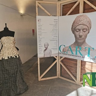 Biella, dal 25 ottobre apre al pubblico la mostra “Carta. La forza espressiva della Paper Art” FOTO