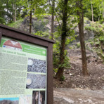 Miagliano, conclusa la messa in sicurezza del versante Cave (foto comune Miagliano) Miagliano, conclusa la messa in sicurezza del versante Cave (foto comune Miagliano)