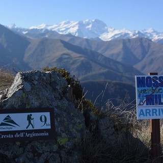 Gli appuntamenti con le corse dal 4 all'8 maggio