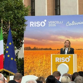 Risò, a Vercelli dall’11 al 13 settembre il confronto internazionale sul futuro del riso europeo. Lollobrigida: necessario difendere cultura del riso Risò, a Vercelli dall’11 al 13 settembre il confronto internazionale sul futuro del riso europeo. Lollobrigida: necessario difendere cultura del riso