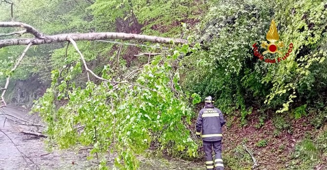 Maltempo, alberi pericolanti e danni ai cavi elettrici: serie di interventi nel Biellese (foto di repertorio) Maltempo, alberi pericolanti e danni ai cavi elettrici: serie di interventi nel Biellese (foto di repertorio)