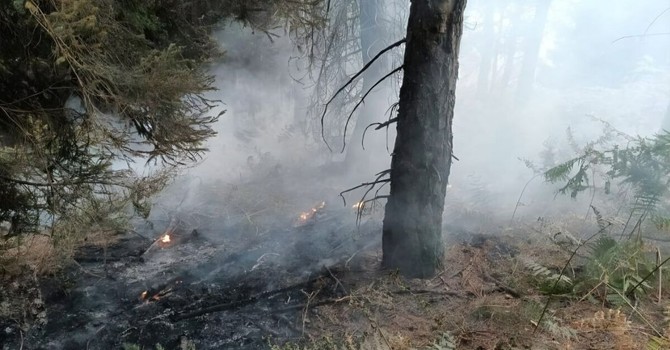 Monte Barone, prosegue l’emergenza: "Un fronte è ancora critico" Monte Barone, prosegue l’emergenza: "Un fronte è ancora critico"