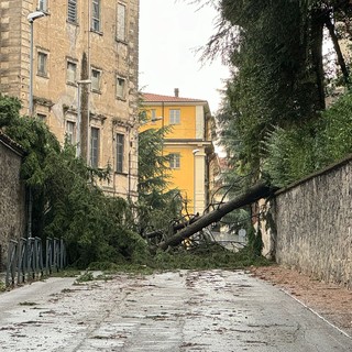 maltempo biella