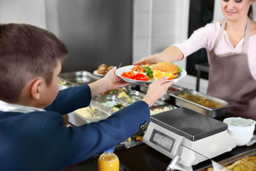 Mensa a scuola, le tariffe del servizio a Verrone, Villanova e a Massazza