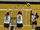 Al Bonprix TeamVolley servono due ore per imporsi sul Parella