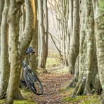 Coggiola-Viera, torna la Ciclofolcloristica: in bici da oltre mezzo secolo tra sport e tradizione, foto pixabay Coggiola-Viera, torna la Ciclofolcloristica: in bici da oltre mezzo secolo tra sport e tradizione, foto pixabay