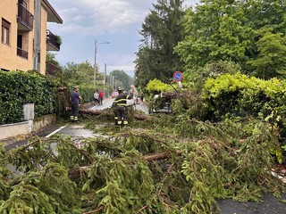 Tetti divelti, allagamenti e blackout: il maltempo devasta il Biellese. Crolla il tetto della scuola Leonardo Da Vinci a Cossato