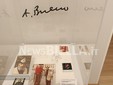 Biella, al Palazzone la mostra dedicata ad Antonio Bueno FOTO e VIDEO Mattia Baù per newsbiella.it