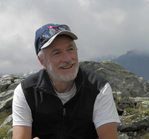 martino borrione
