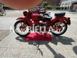 Biella, spazio agli appassionati di moto d'epoca FOTO e VIDEO di Massimo Giacobbe per newsbiella.it
