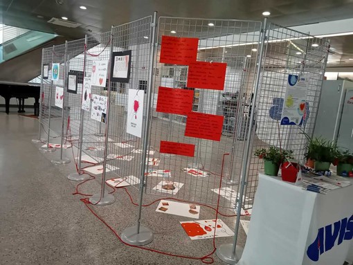 Fluire nel futuro, inaugurata in ospedale la mostra di AVIS Biella: una riflessione sul valore del dono