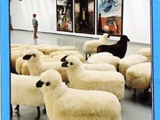 fotografie copyright Roberto Marchisotti