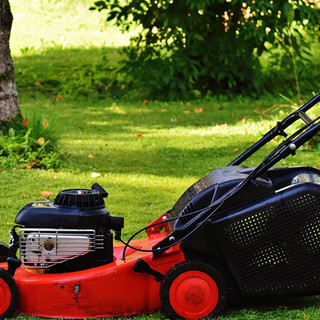 Macchine da giardinaggio usate: come scegliere bene e risparmiare