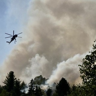 Incendio Monte Barone, 58 lanci tra elicottero e Canadair: fronte nella pineta FOTO archivio