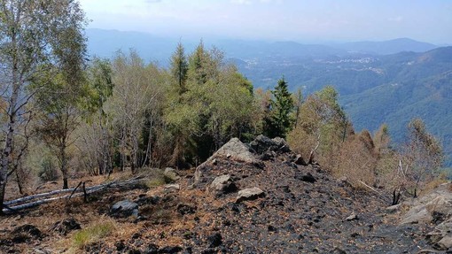 Incendio Monte Barone, dopo 18 giorni il rogo è estinto: "Una battaglia estenuante" Incendio Monte Barone, dopo 18 giorni il rogo è estinto: "Una battaglia estenuante"