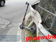 Biella, apre la portiera dell’auto e centra un monopattino: un uomo al Pronto Soccorso (foto di repertorio) Biella, apre la portiera dell’auto e centra un monopattino: un uomo al Pronto Soccorso (foto di repertorio)