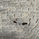 Biella, via Italia di nuovo piena di cicche e deiezioni. Moscarola: “La maleducazione regna sovrana” (foto dalla pagina Facebook di Giacomo Moscarola)