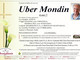 Uber Mondin
