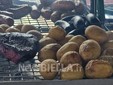 A Biella la fiera dei sapori e dei colori con Regioni d’Europa FOTO e VIDEO Mattia Baù per newsbiella.it