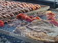 A Biella la fiera dei sapori e dei colori con Regioni d’Europa FOTO e VIDEO Mattia Baù per newsbiella.it
