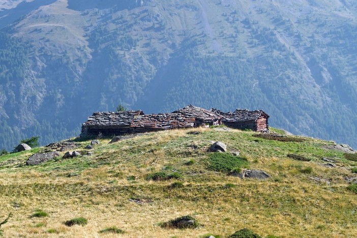 Sordevolo investe sugli alpeggi: finanziamento per valorizzare terre alte e tradizioni pastorizie