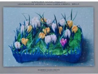 L’arte senza confini di Sandra Marchisotti: la carta crespa che emoziona grandi e bambini foto Copyright Roberto Marchisotti