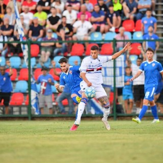 borini novara borini novara