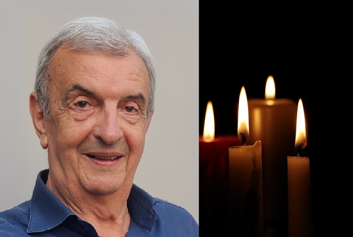 biella leone biella leone