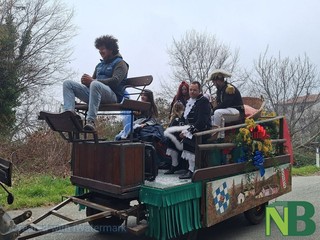 A Netro carri e gruppi mascherati per l'ultimo atto del carnevale 2026 FOTO Nicola Rasolo per newsbiella.it