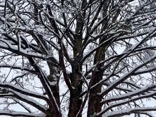 Oropa imbiancata nelle foto di un lettore foto Ezio Cairoli