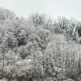 “Quadri invernali” anche in Valsessera, gli scatti da Crevacuore (foto di Ermanno Orsi)