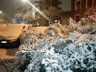 La Valle Elvo innevata negli scatti di Luca Stecchi