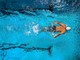 Nuoto, acquaticità e ginnastica dolce, Benna promuove lo sport con una convenzione