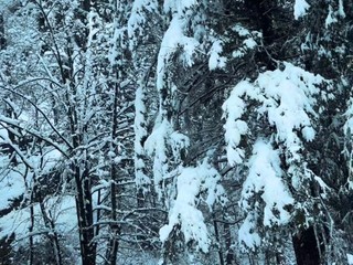 Oropa imbiancata nelle foto di un lettore foto Ezio Cairoli