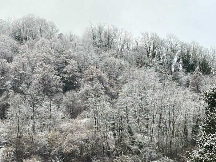 “Quadri invernali” anche in Valsessera, gli scatti da Crevacuore (foto di Ermanno Orsi)