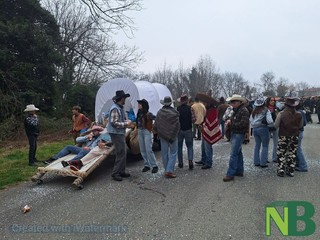 A Netro carri e gruppi mascherati per l'ultimo atto del carnevale 2026 FOTO Nicola Rasolo per newsbiella.it