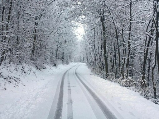 Allerta gialla da domani per neve a bassa quota sul basso Piemonte (foto di repertorio) Allerta gialla da domani per neve a bassa quota sul basso Piemonte (foto di repertorio)