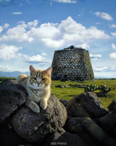 Nuraghe Santa Sabina o Sarbana, Silanus (fotografia di Fabrizio “BIBI” Pinna)